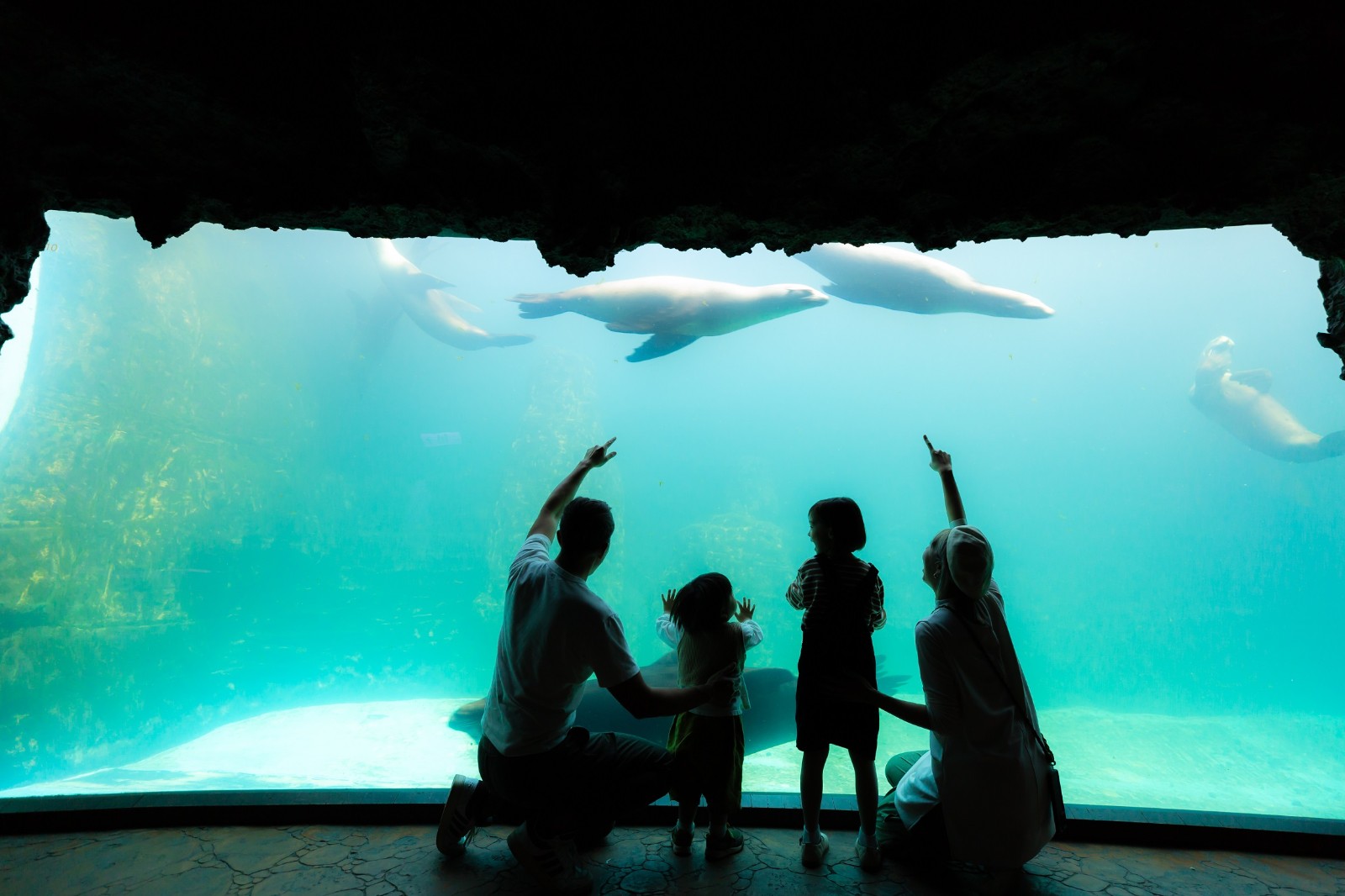 遠雄海洋公園